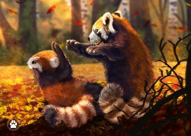 Red Pandas Playing