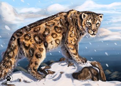 Snow Leopard Mountain 