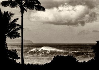 Surfing at Waimea Bay