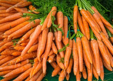 market fresh carrots