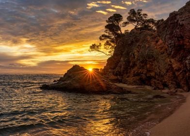 Beach sunset landscape