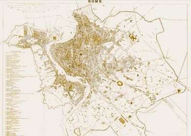 Rome Vintage white Map