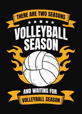 Volleyball Player Season