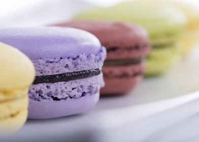 macaroon soft color