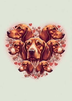 Vizsla