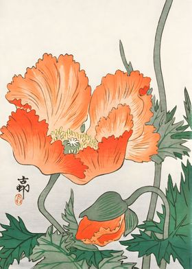 Ukiyo e Japanese Poppy