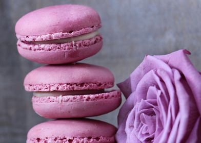 macarons with rose