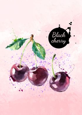 black cherry watercolor