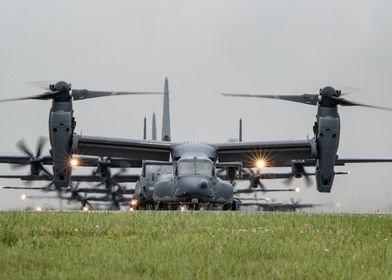 Ospreys in Japan