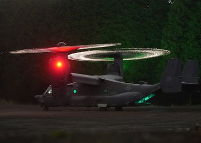 Osprey at night