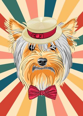 Cute Yorkshire Terrier Dog