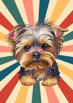 Cute Yorkshire Terrier Dog