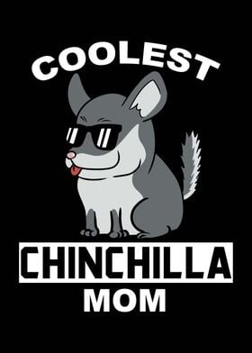 Chinchilla Mom