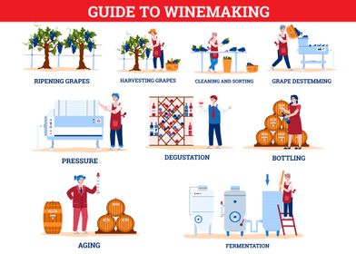 Winemaking Guide