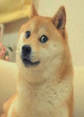 Doge Meme