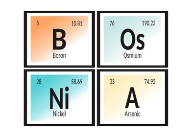 Bosnia Elements