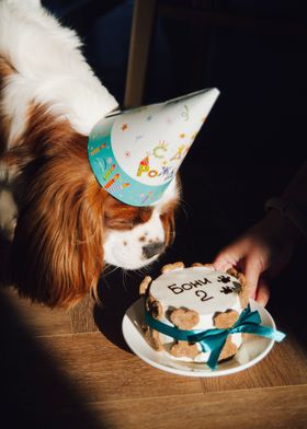 PUPPY BIRTHDAY