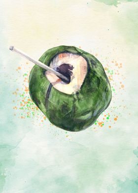 coconut watercolor