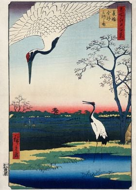 Japanese Cranes