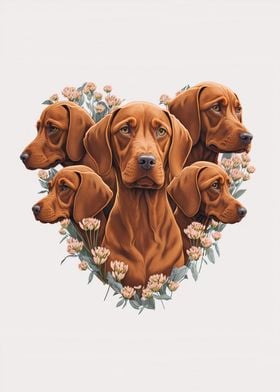 Vizsla