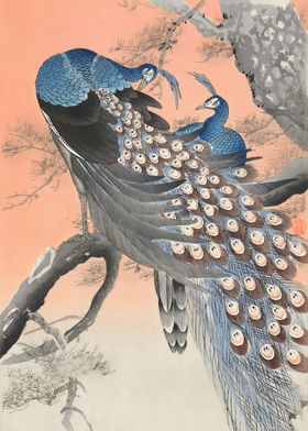 Ukiyo e Japanese Peacock