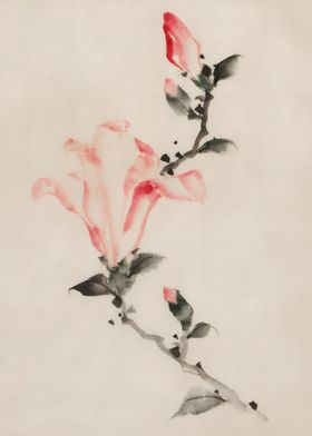 Ukiyo e Magnolia