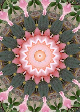 Rose garden Kaleidoscope 1