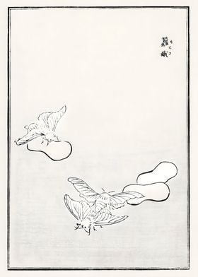 Ukiyo e