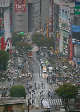 Shibuya Crossing Tokyo