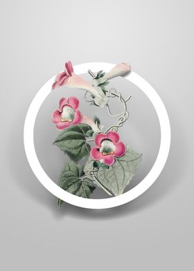Minimalist Circle Florals-preview-1