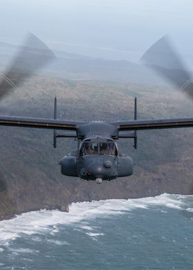 Osprey in Japan