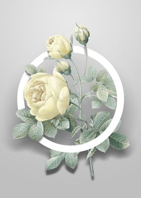 Minimalist Circle Florals-preview-2