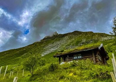 Norway Mountain Cabin Log