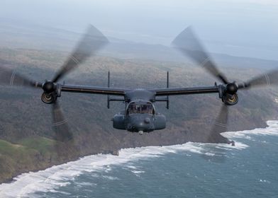 Osprey in Japan