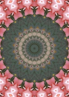 Rose garden Kaleidoscope 2