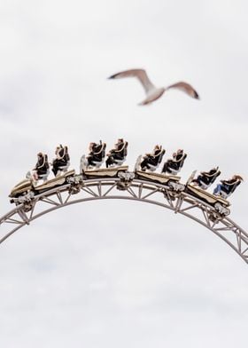 Icon Rollercoaster