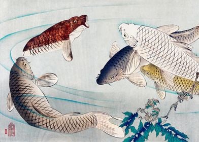 Japanese Fishes