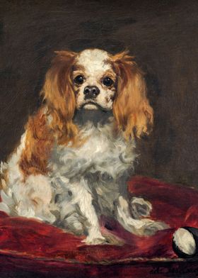 King Charles Spaniel 1866