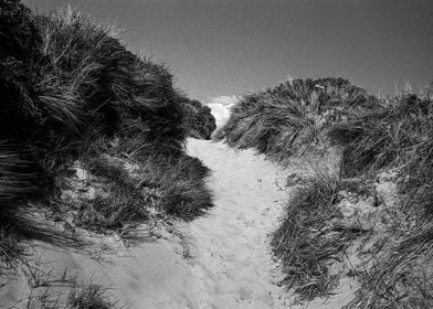 Troon Sand Dunes 