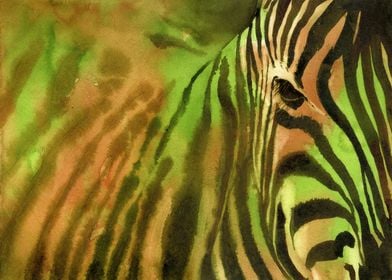 Zebra animal artwork