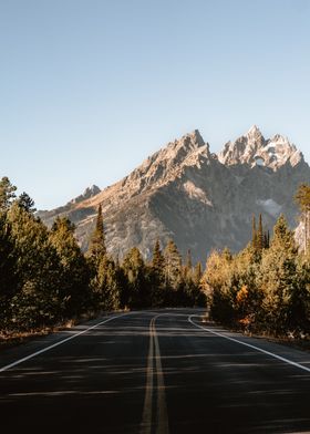 Forest road to Mountains