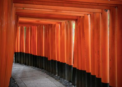 Torii in Japan