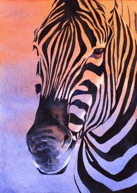 Zebra animal artwork