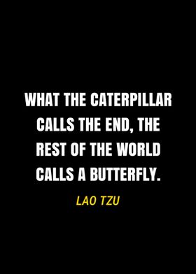 Lao Tzu quote