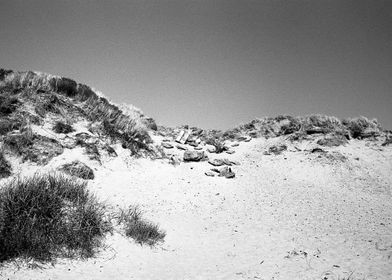 Troon Sand Dunes