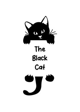 black cat