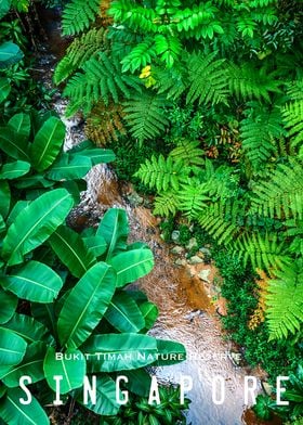 Singapore Bukit Timah