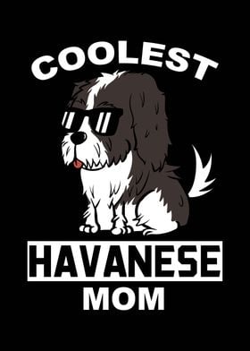 Havanese Mom 