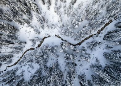 Winter snow trees from top