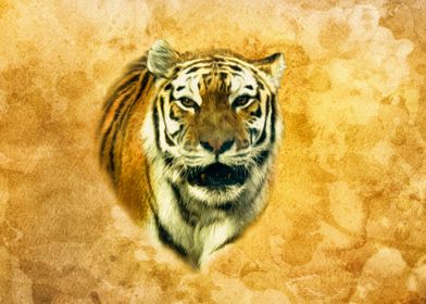 Tiger portrait 2